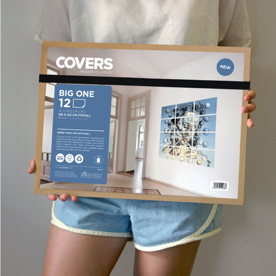 COVERS - Pasion to create