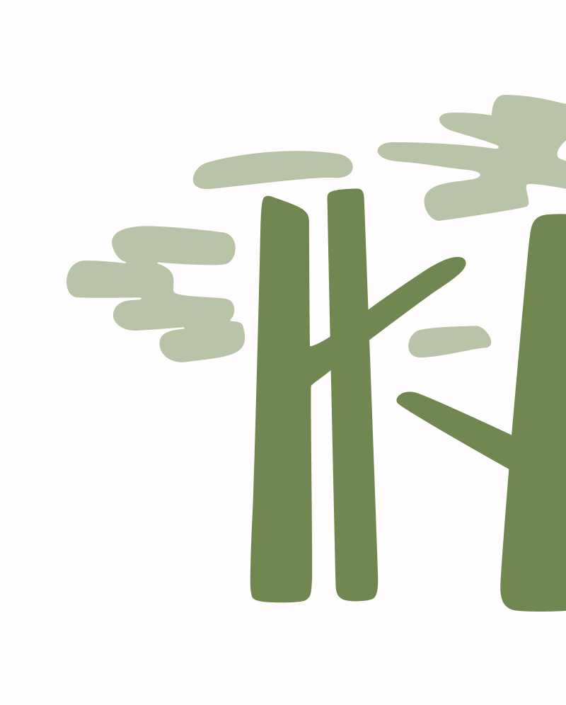 BORESTAL-ESTRATEGIA-WEB-BRANDING-FORESTAL-ICONO