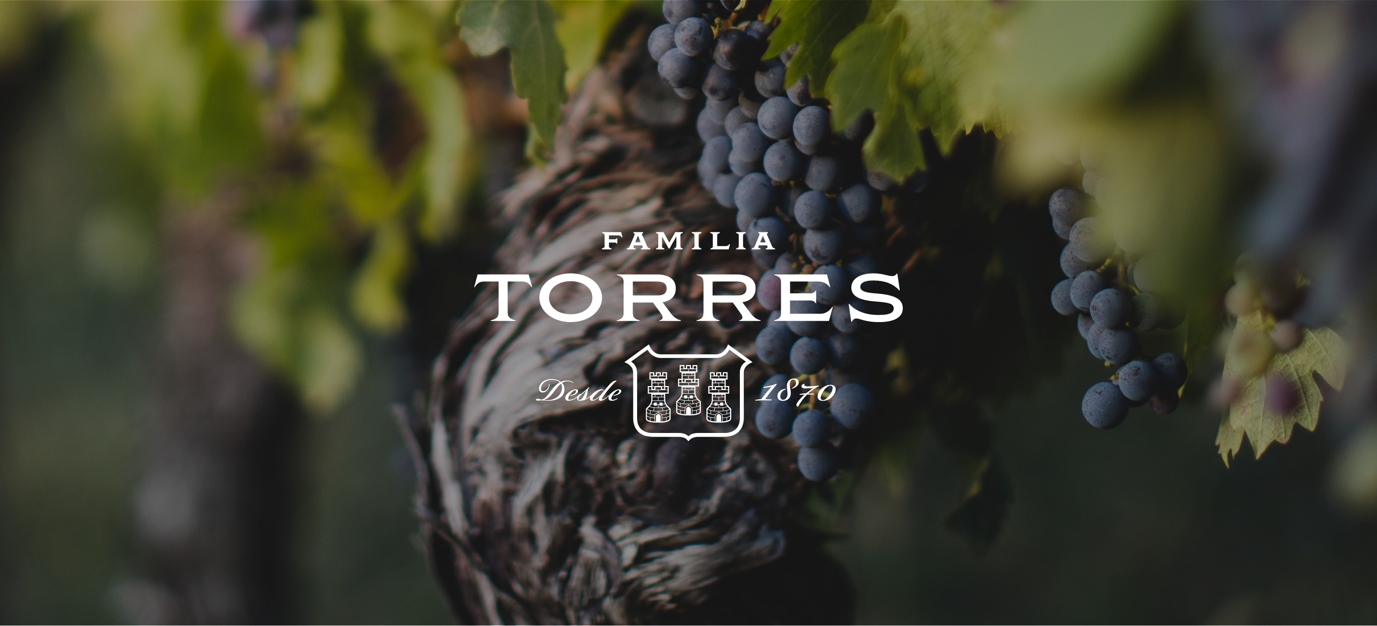 TORRES-BRANDING-presentacion