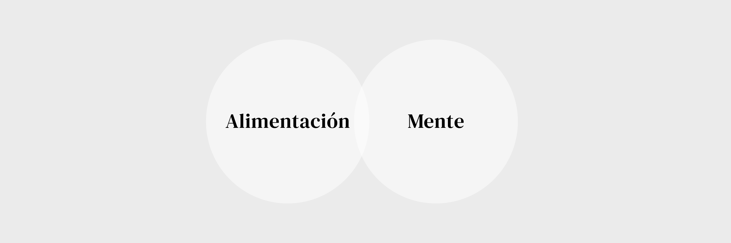 FUNDACION-ALIMENTE-BRANDING-POSICIONAMIENTO-TRATAMIENTO-ADICCION-ALIMENTACION-MENTE-NAMING