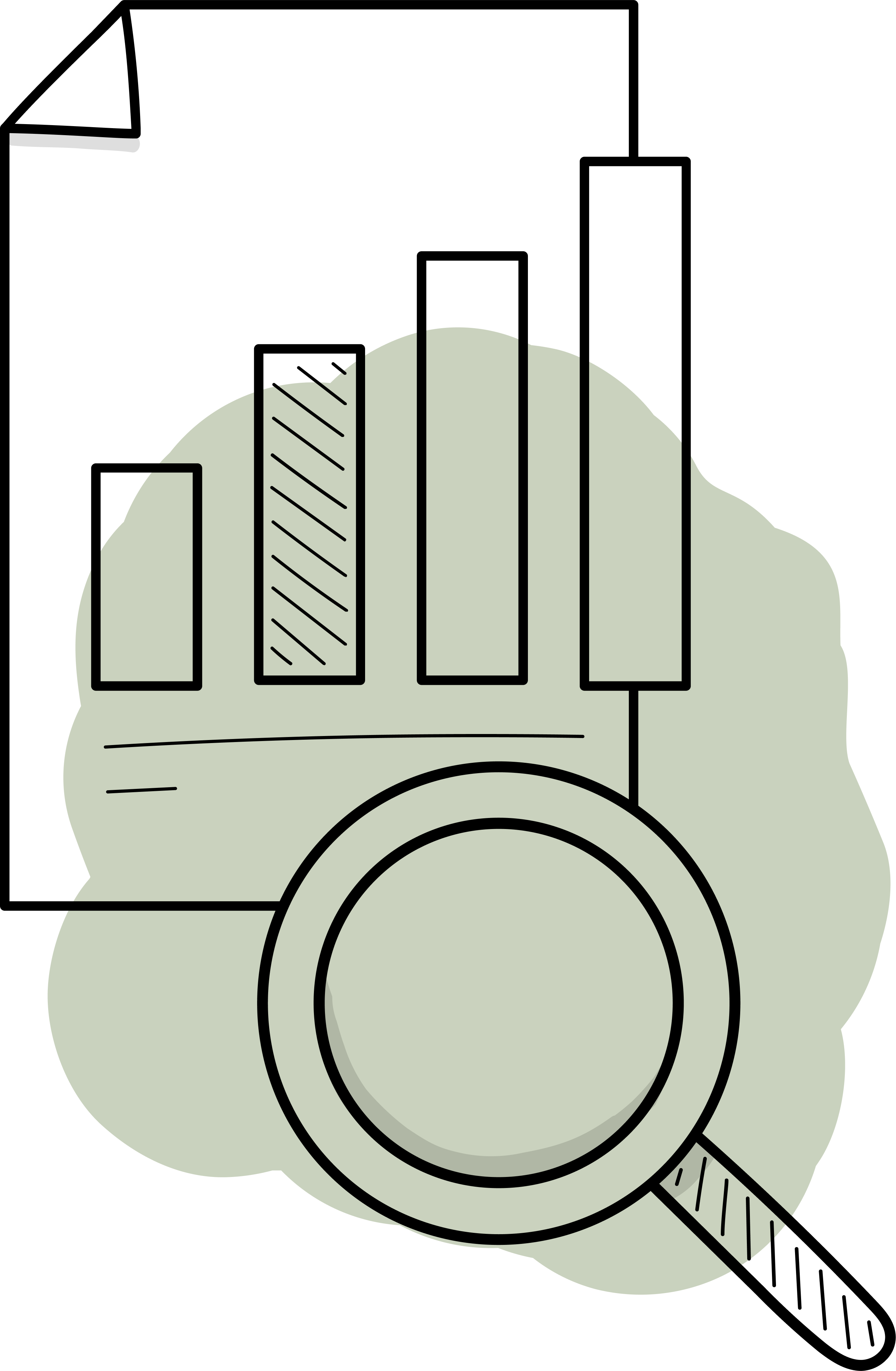 BORESTAL-ESTRATEGIA-WEB-BRANDING-ESPECIALISTAS-FORESTALES