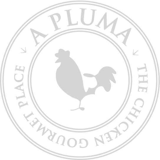 APLUMA-LOGOTIPO