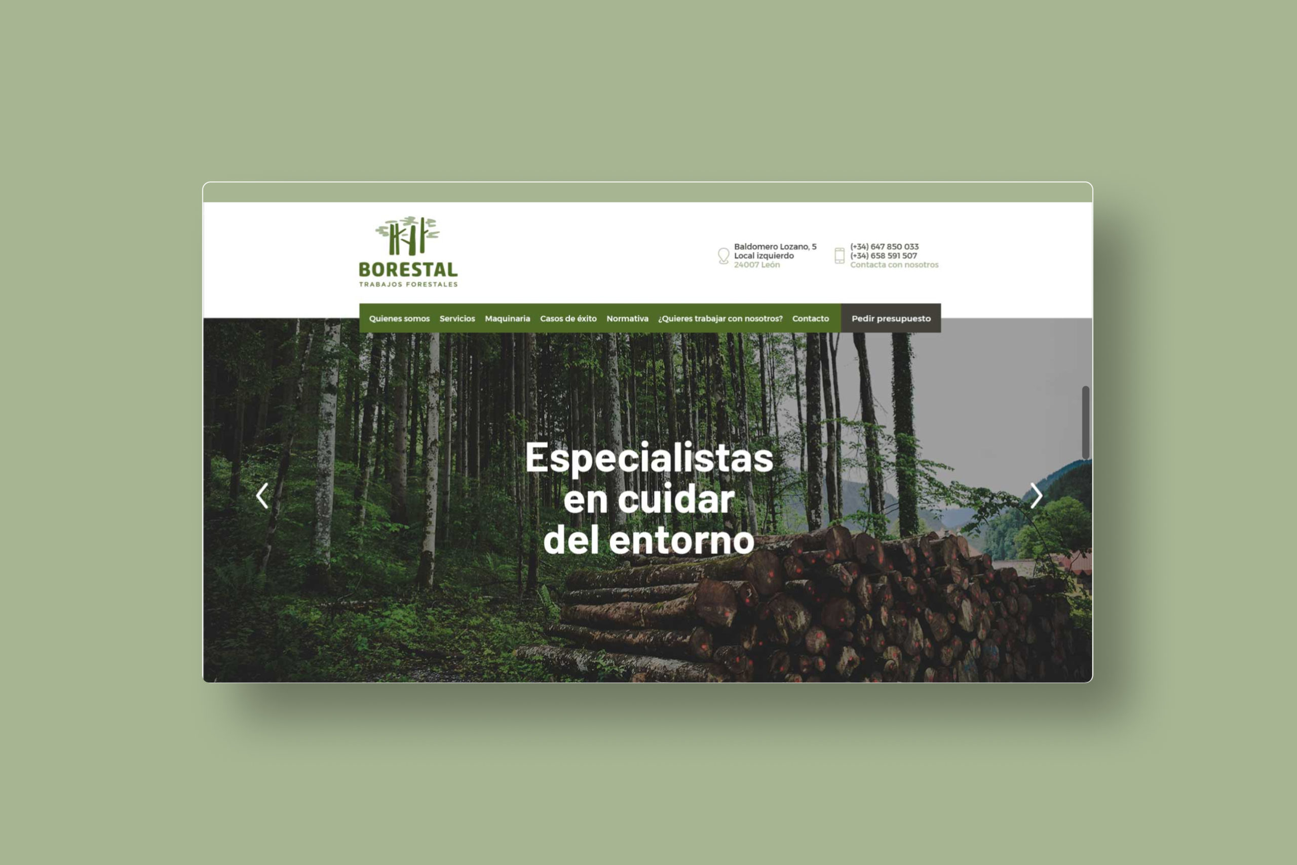 BORESTAL-ESTRATEGIA-WEB-BRANDING-WEB