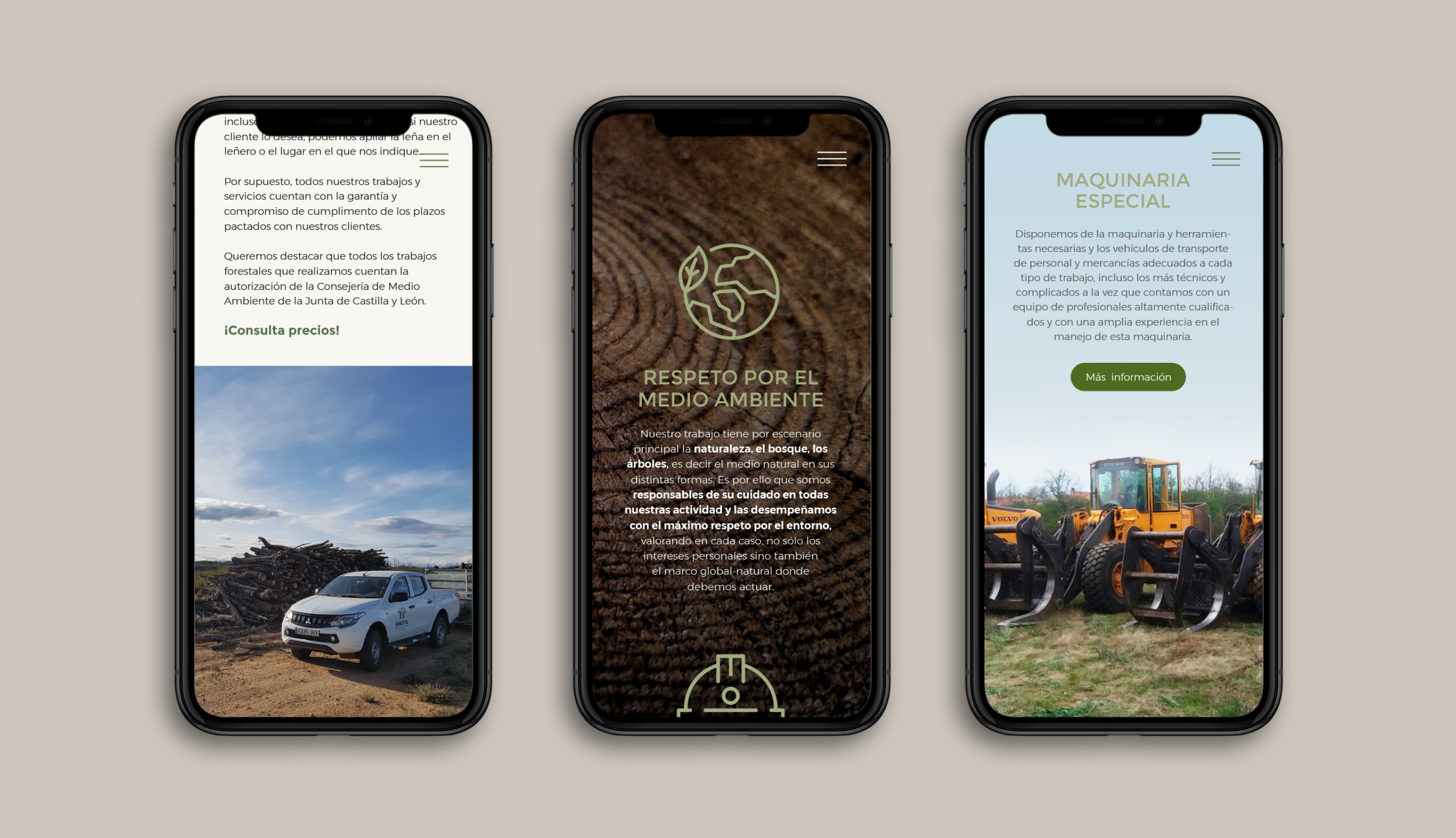 BORESTAL-ESTRATEGIA-WEB-BRANDING-RESPONSIVE-MOVIL