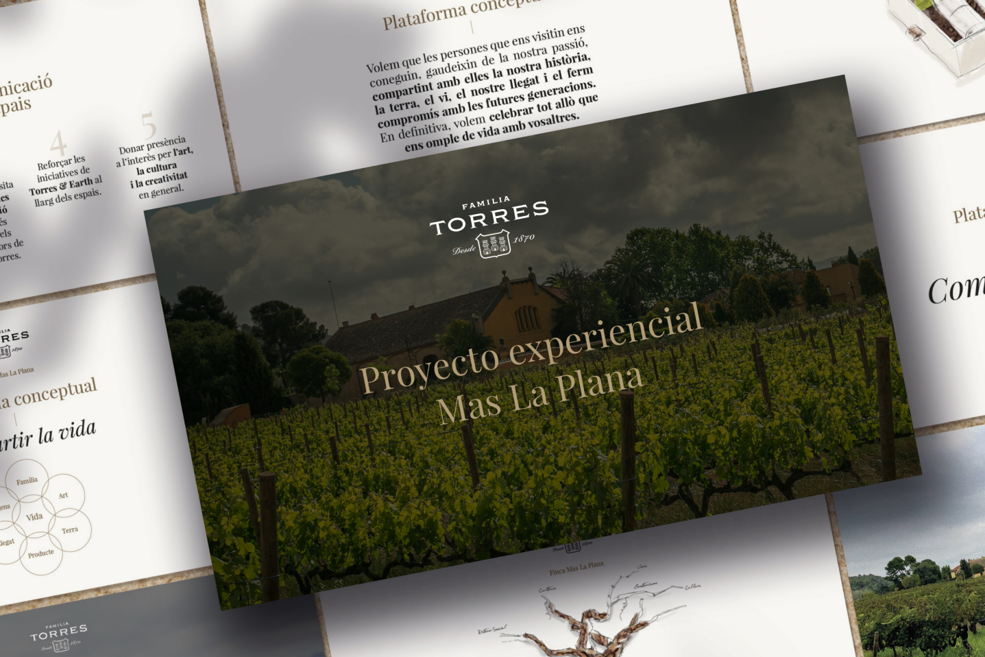 TORRES-BRANDING-INTERIOR-EXPERIENCIA-INTERIORISMO-LOGOTIPO