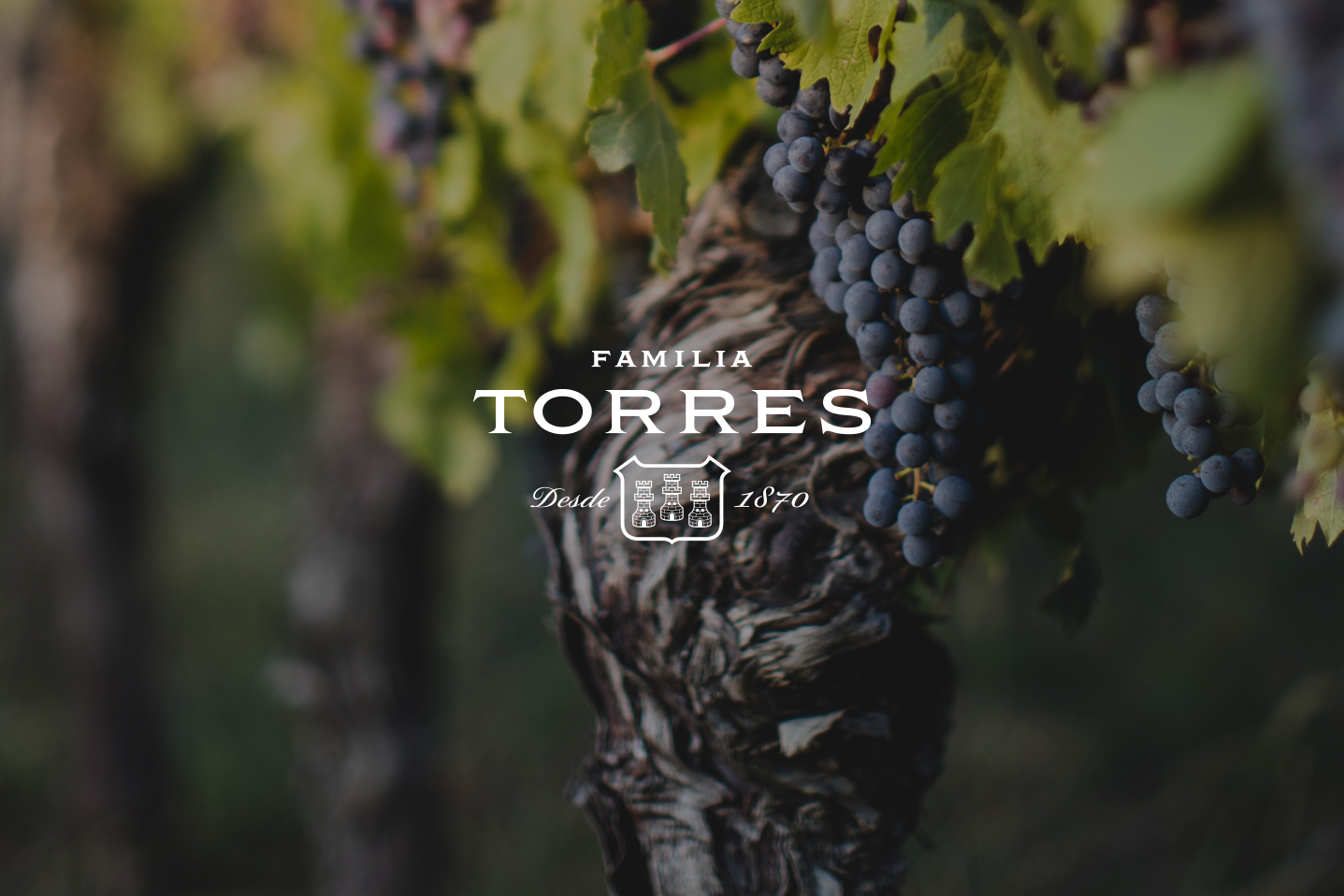 TORRES-BRANDING-INTERIOR-EXPERIENCIA-INTERIORISMO-LOGOTIPO