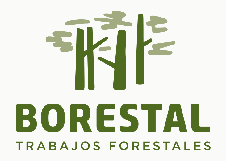 BORESTAL-ESTRATEGIA-WEB-BRANDING-POSICIONAMIENTO-LOGOTIPO